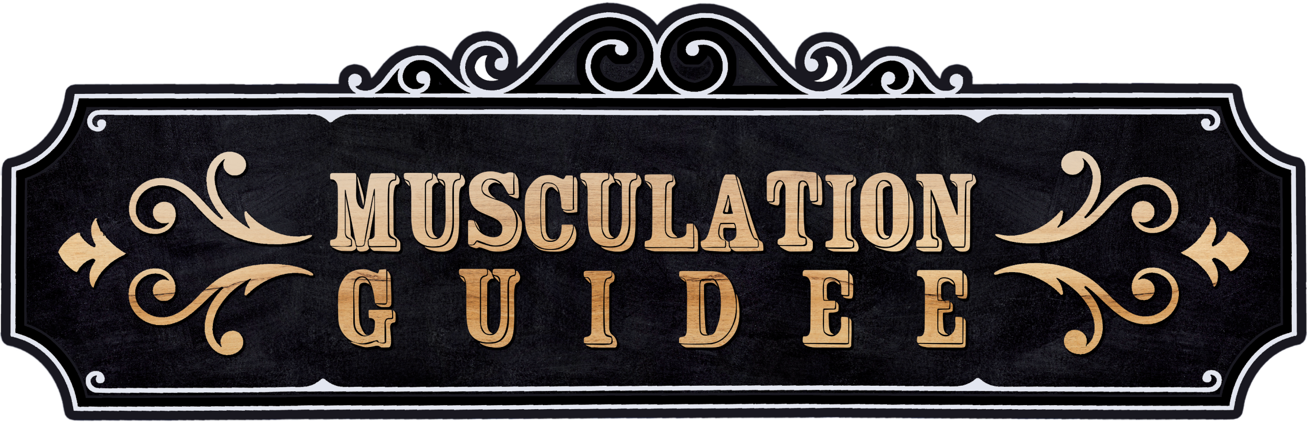 png musculation guidé