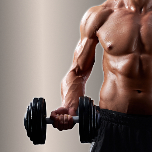 photo muscu1