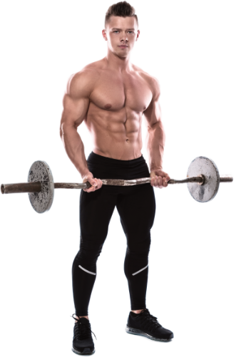 TARIFS sylvie photo homme muscu